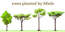 Miele Partner Woodland Trust Miele Partner Woodland Trust