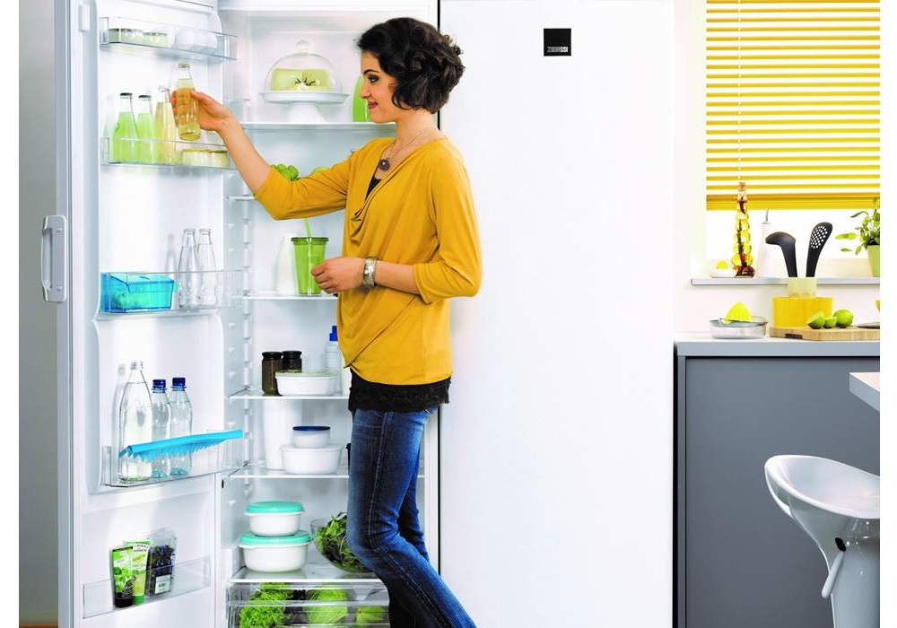 Zanussi Fridge Freezers