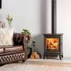 Chesterfield 5 Wood Burning Stove