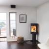 Duo 1 Wood Burning Stove