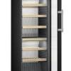 Liebherr WPbsi 5052 wine cabinet with 2 temperature zones