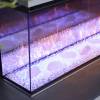 New Forest 1200 Deluxe Real Logs electric fire in Belfast and Dublin