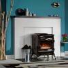 Stanley Ardmore ARSFNBECSE Multi Fuel Stove