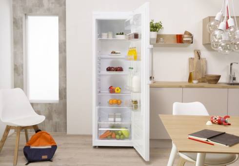 Indesit Freestanding Fridges at Dalzells