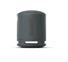 Sony SRS XB100B Bluetooth speaker black