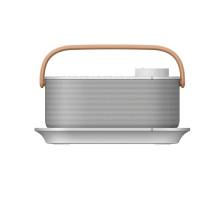 Sony SRSLSR200CE7 wireless TV speaker with charging dock front view