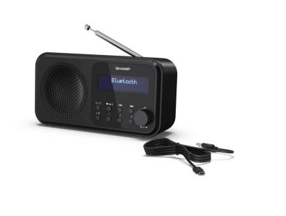 DR-P420BK digital display radio front view