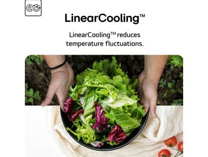 LG GMF960EV4E Belfast NI and Dublin Ireland