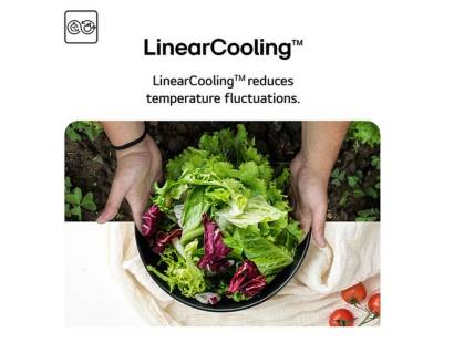 LG Prime Silver fridge freezer with Fresh Zone and Moist Balance Crisper