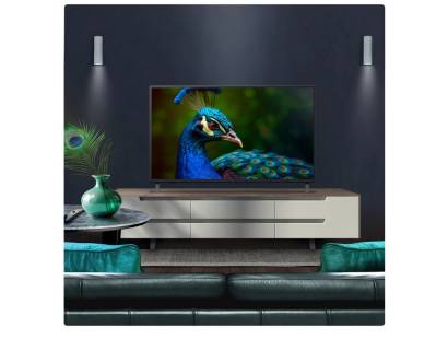 LG television living room setup