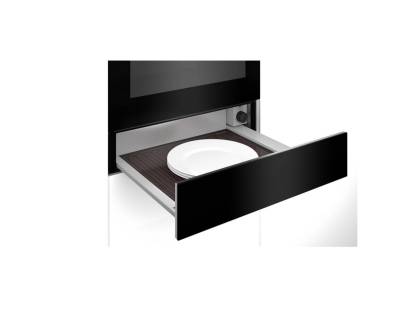 ROWD4200B warming drawer open showing interior space