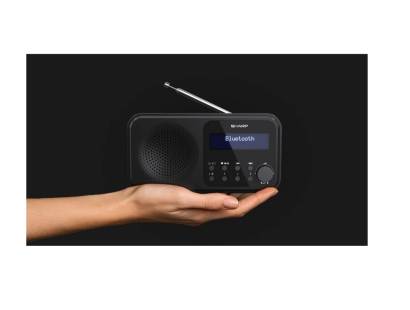 Sharp wireless radio Bluetooth speaker