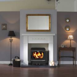 Fern Eco stove burning solid fuel in a modern living room