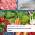 Bosch integrated fridge freezer with VitaFresh XXL