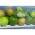 Hotpoint SH81QGRFD